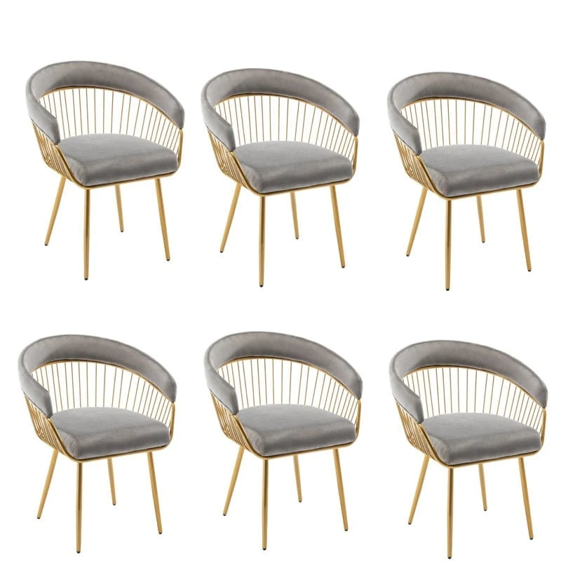 XINMICS Modern Dining Chair, Velvet Back Armchair for Living Room/Study, Set of 2/4/6