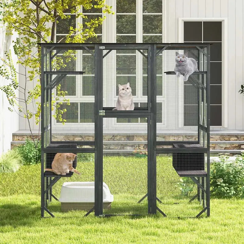 Twee katten die ontspannen op een platform in de catio zitten