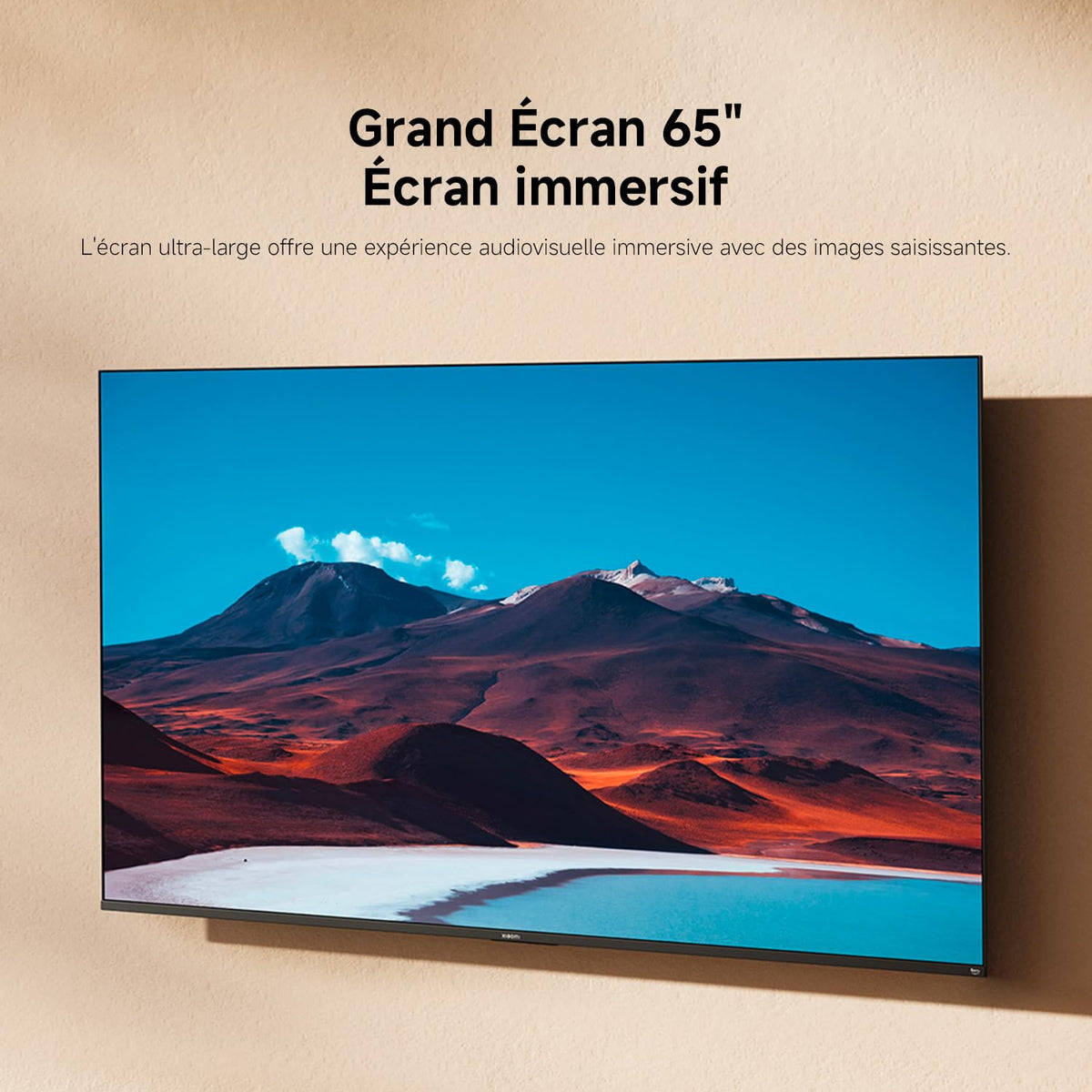 Xiaomi TV F 65 inch 4K smart tv, aansluitingen aan de achterzijde