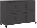vidaXL Buffet, Armoire avec Porte, Placard avec Rangement, Organisateur de Salle de Séjour Salon Maison Intérieur, Noir 100,5x39x72 cm Acier