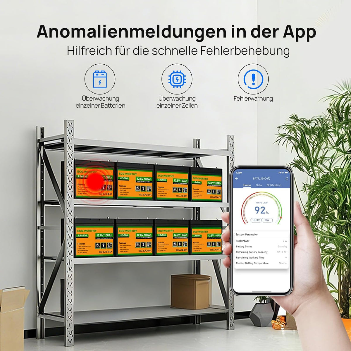 ECO-WORTHY LiFePO4 Akku 12V 100Ah im Gehäuse