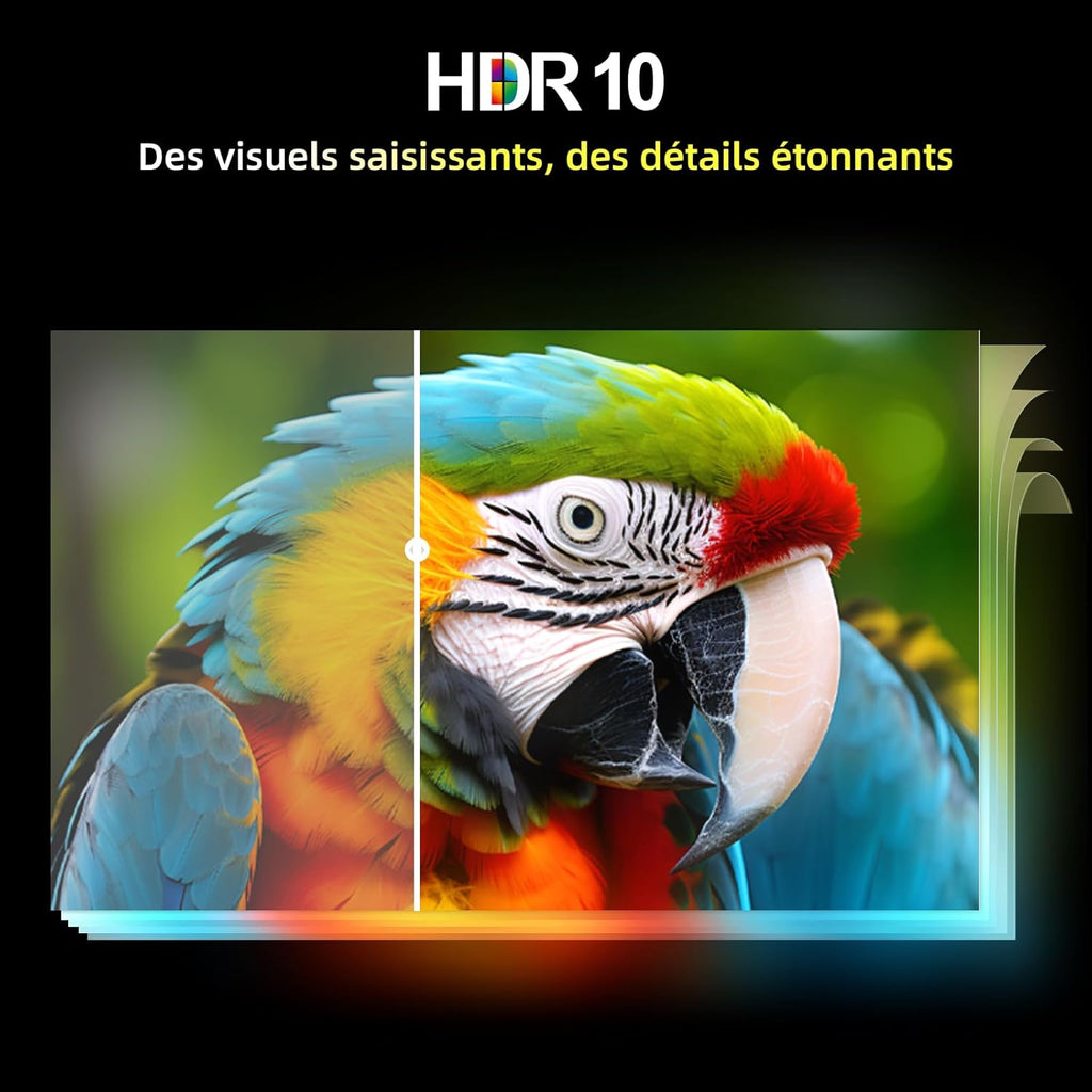 CHIQ L32QM9G 32 Pouces (80 cm) FHD Smart Téléviseur  QLED  HDR10  Google TV  Google Assistant  Tuner Triple  Dolby Audio  DBX-TV  Chromecast intégré  HDMI  USB  sans Cadre en Métal  Noir