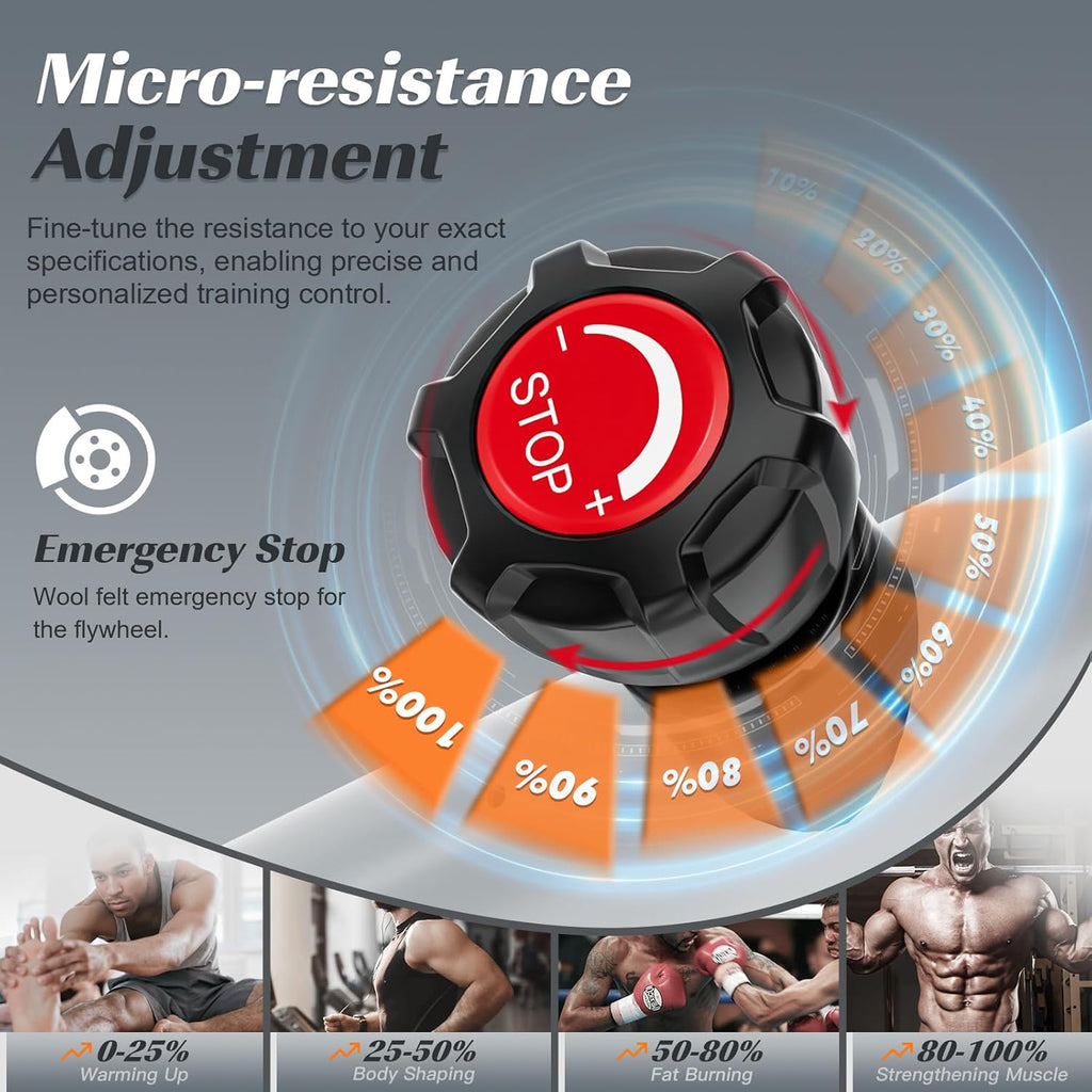 LABGREY Vélo d'Appartement, Vélo de Fitness d'Exercice d'Intérieur Silencieux avec écran LCD, Guidon et Siège Réglables, Résistance Ajustable pour l'Entra?nement Cardio à la Maison