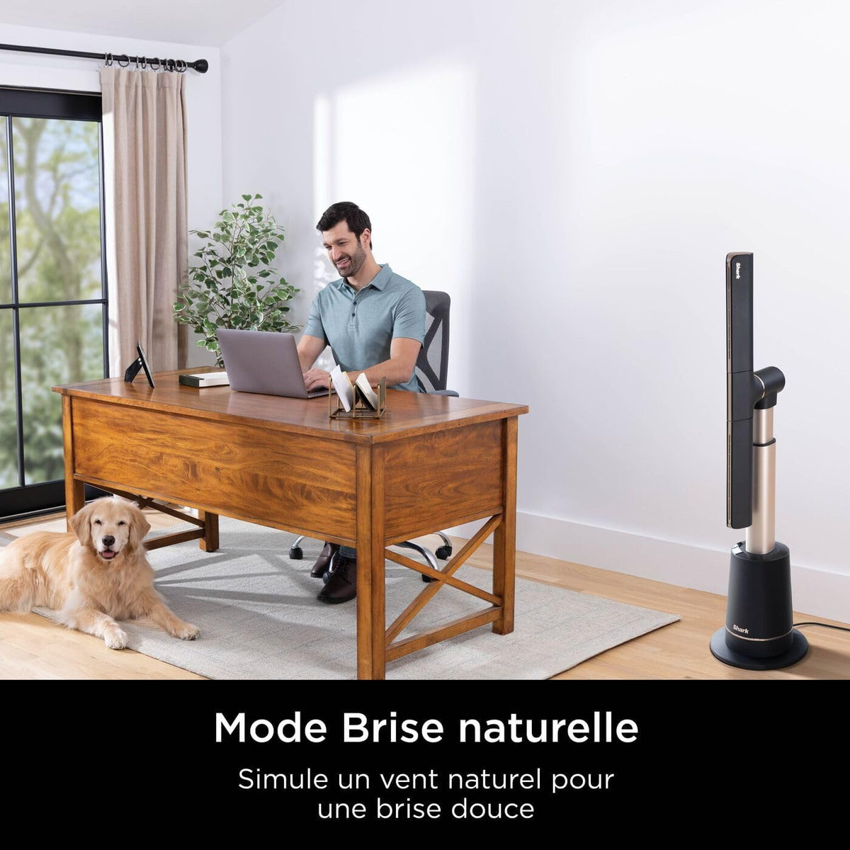 Shark TurboBlade Ventilateur colonne sans pale, Rafra?chissement multidirectionnel à haute vitesse jusqu’à 20 mètres, Discret, 10 vitesses, 180°, Facile à nettoyer, Ventilateur blanc TF200SEU