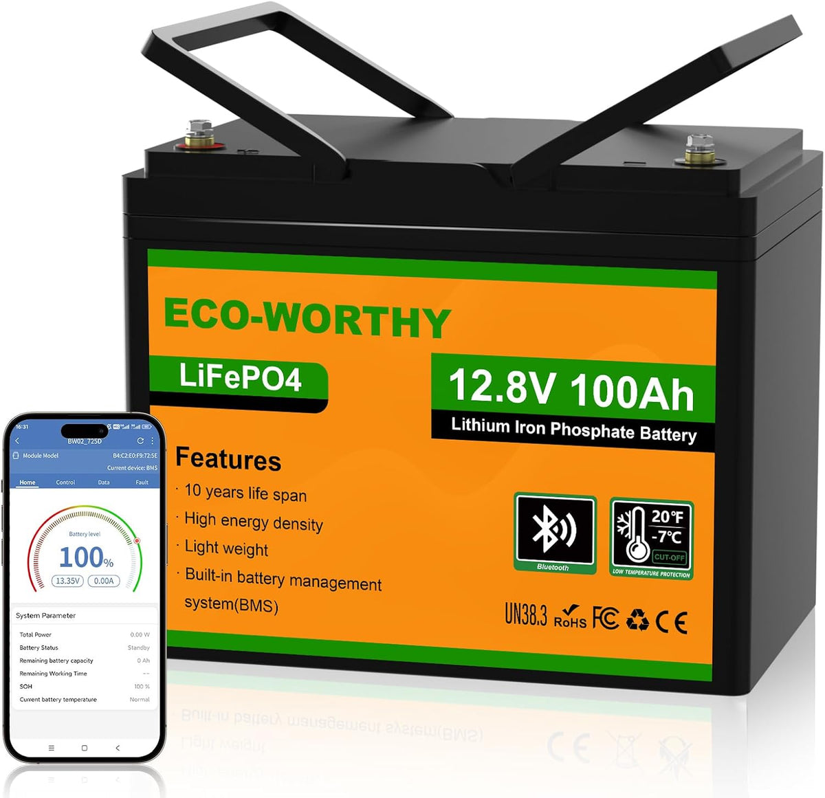 ECO-WORTHY Bluetooth Batterie Lithium 12V 100AH, Batterie LiFePO4 avec Protection à Basse Température, BMS Intelligent, 1280Wh énergie, pour caravanes, camping-car, système solaire,pêche à la ligne