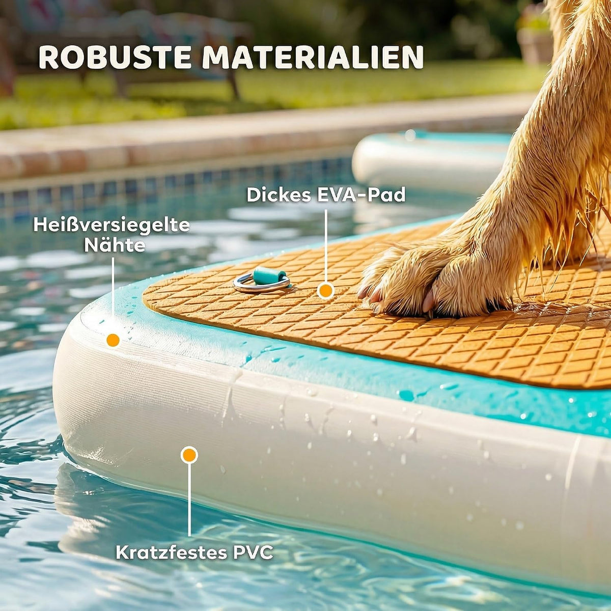 Hund klettert aus dem Wasser auf die Rampe