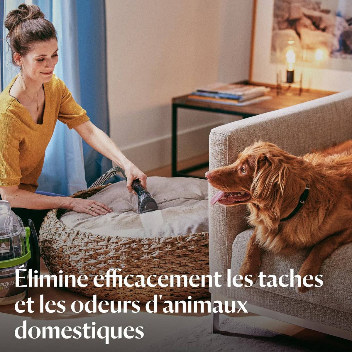 BISSELL SpotClean Pet Pro, Shampouineuse Canapé, Moteur Puissant de 750W, Idéal pour les Propriétaires d'Animaux, Nettoyeur pour Tapis, Moquettes, Meubles, Tissus, Voiture & Plus Encore, 15585