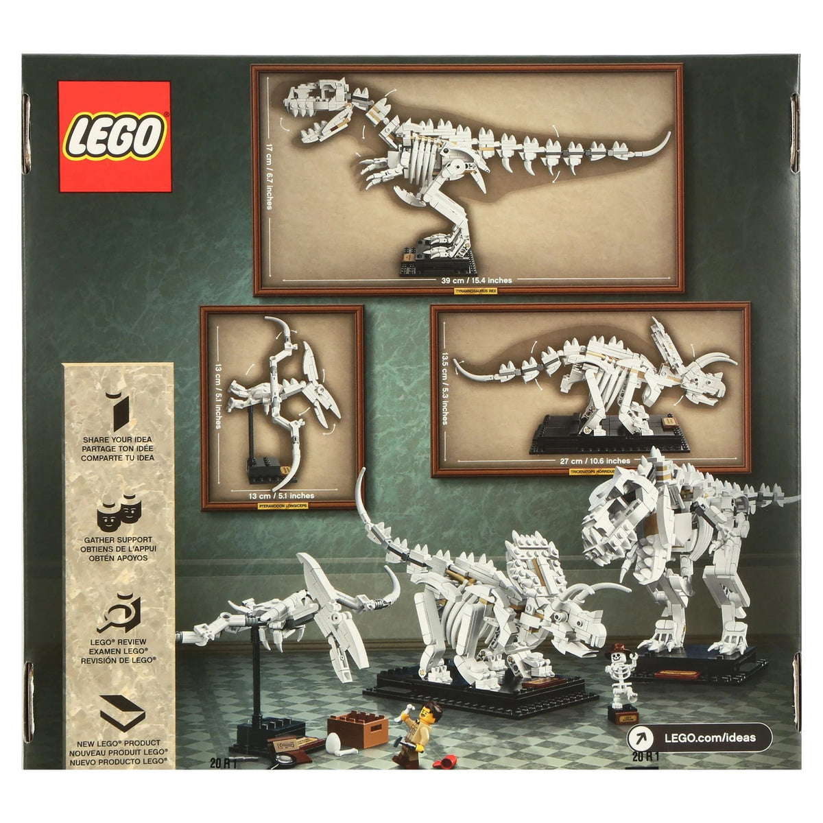 Detail van de kaken en tanden van de T. rex