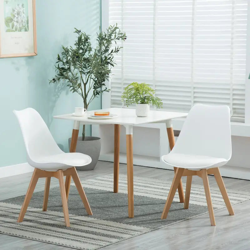 Dining Chairs Wooden Desk Chairs No Wheels Set of 2