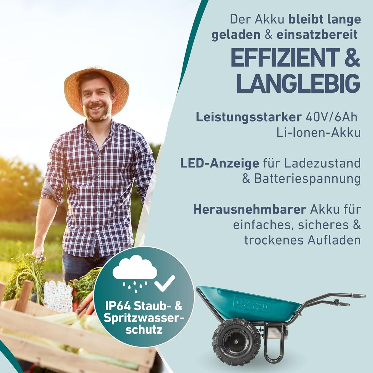 Elektrische Schubkarre mit Akku I 100L Mulde I 260kg Traglas – Rückansicht 5/9