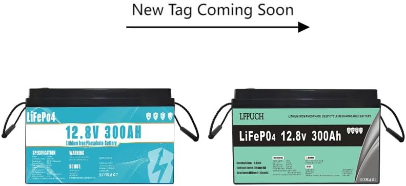 LiFePO4 Akku 12V 300Ah mit 300A BMS